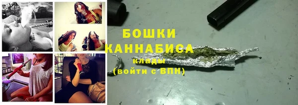 индика Переславль-Залесский