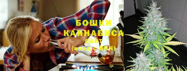 PSILOCYBIN Арсеньев