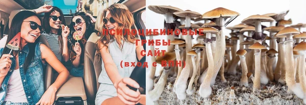 PSILOCYBIN Арсеньев