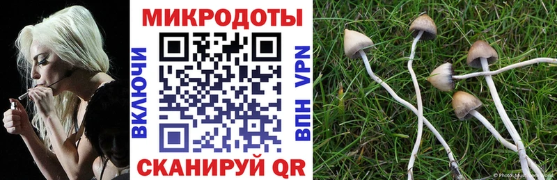 Псилоцибиновые грибы Psilocybe Сосенский